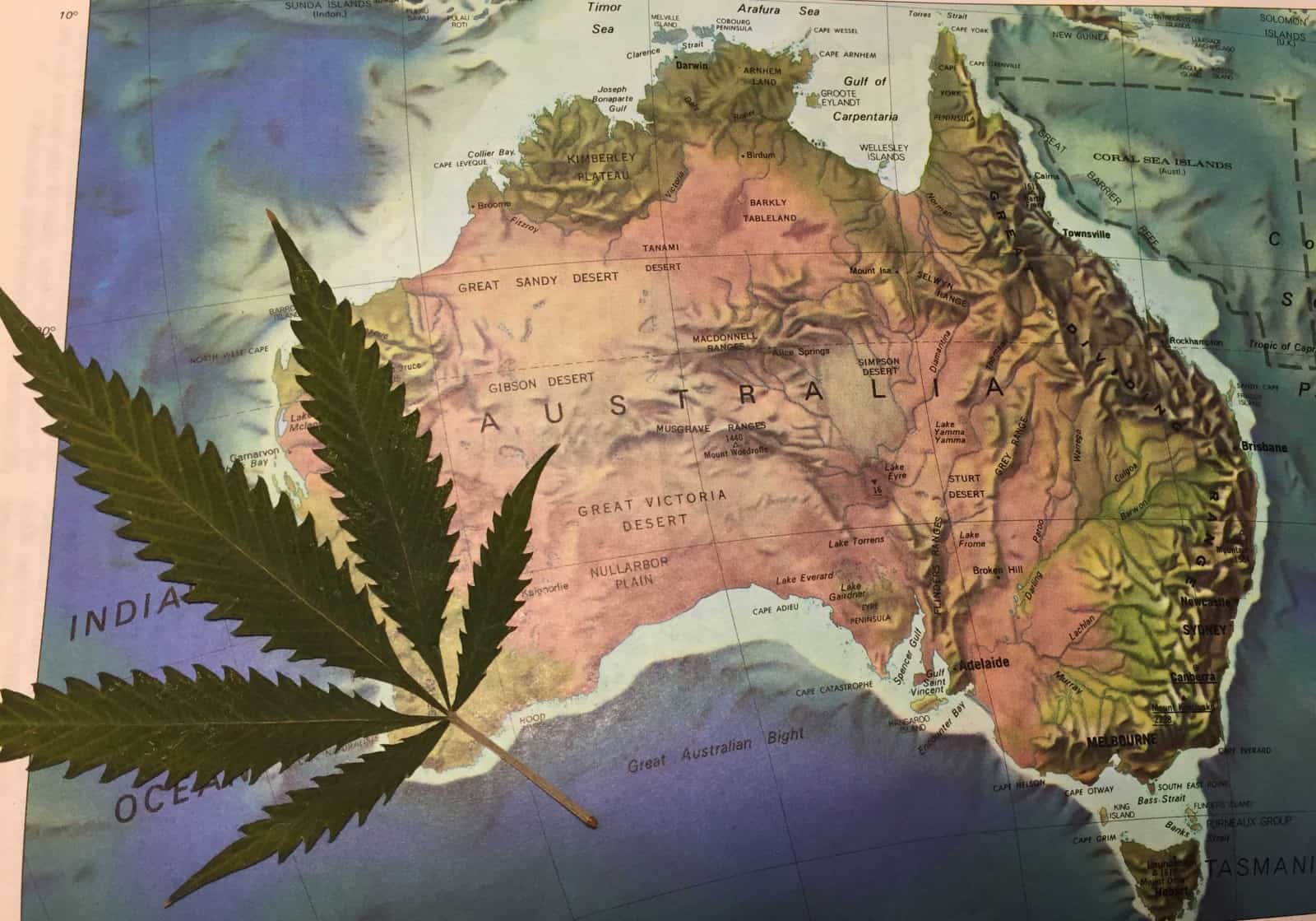 Australia Legalizes Medical Marijuana MMJ