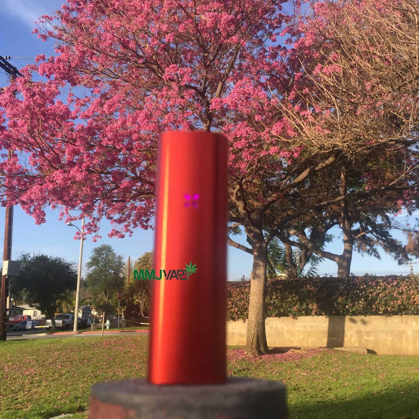 Pax 2 Review