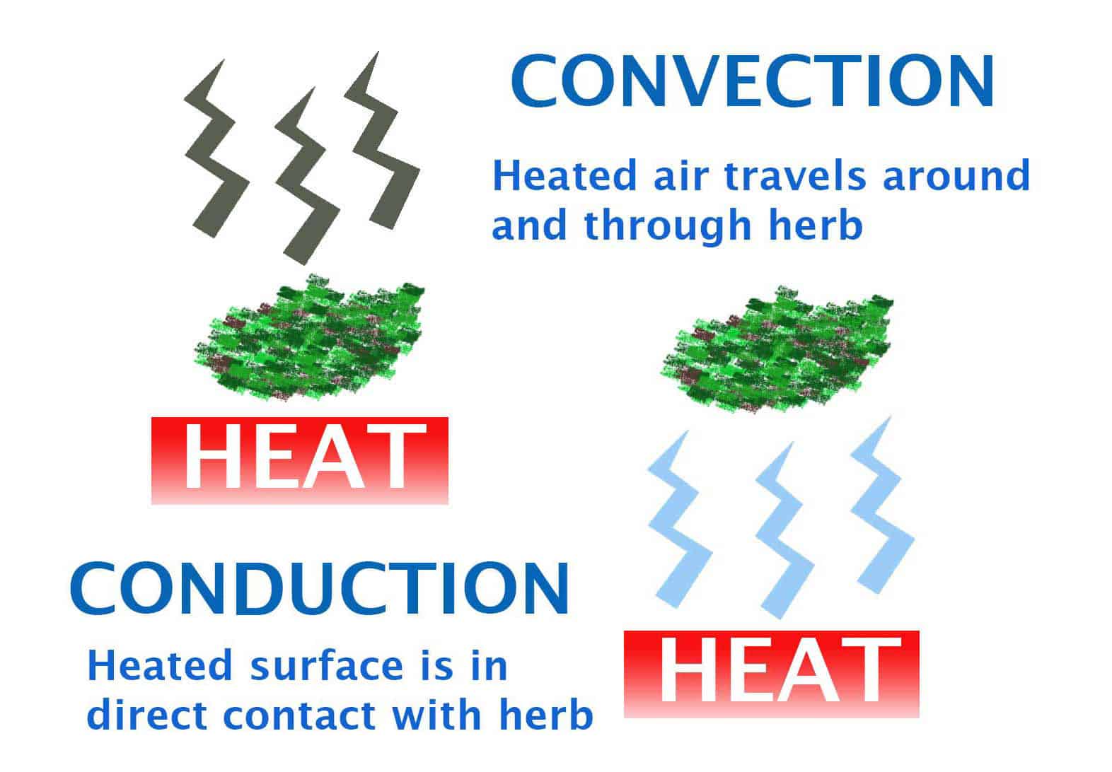 Conduction vs Convection Vaporizer Guide