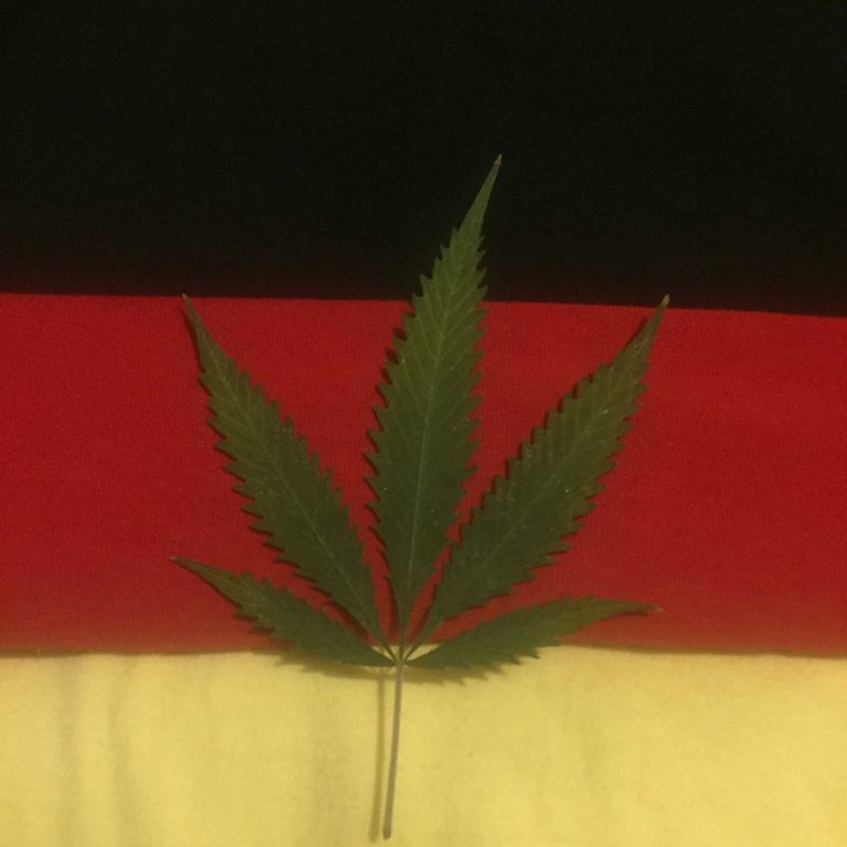 Germany Announces Plans To Legalize Medical Marijuana