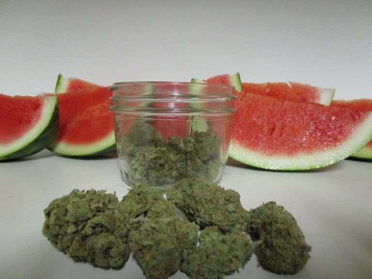 How To Rehydrate Dry Weed