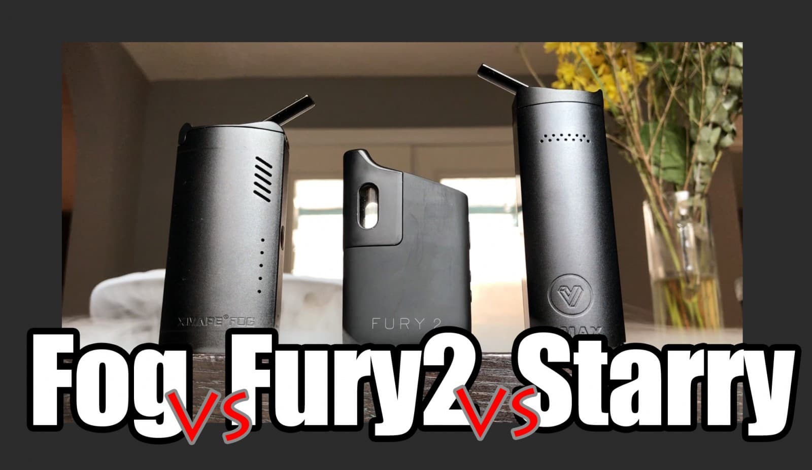 Fury 2 vs FOG vs Starry: Budget Weed Vape Comparison