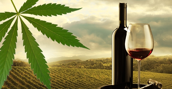Pairing Wine with Weed – Guest Post by Weed an’ Wine