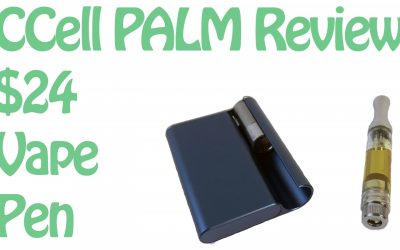 CCell Palm Review – Ultra Slim Vape Pen Battery