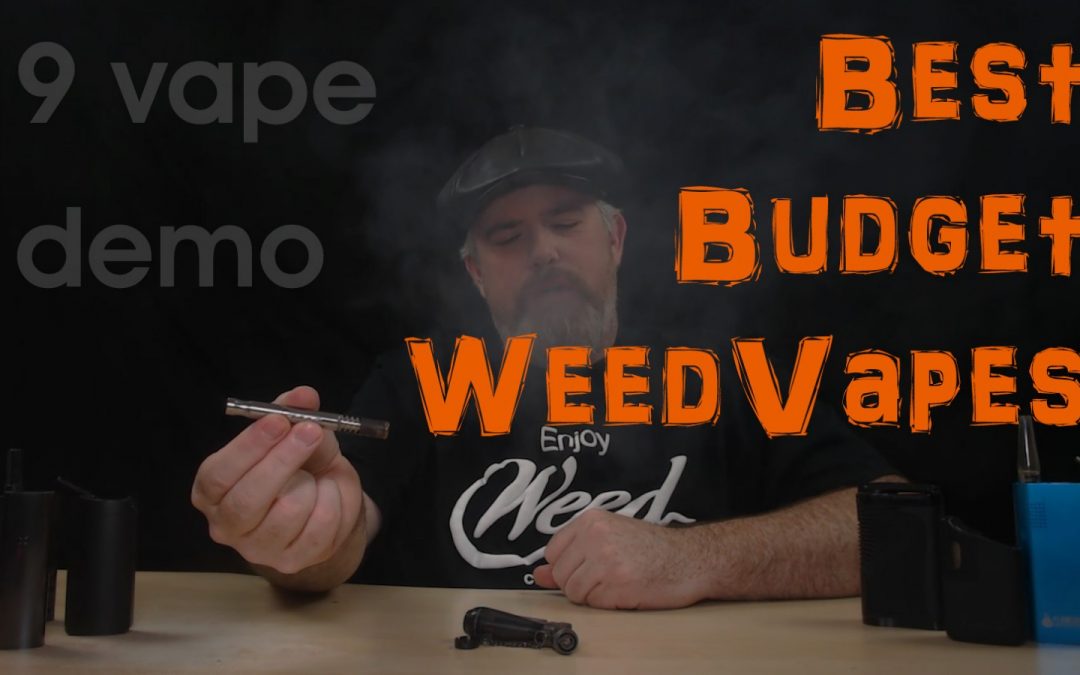 2 NEW VIDEOS: Best 9 Cheap Dry Herb Vapes + AFTERMATH SESH