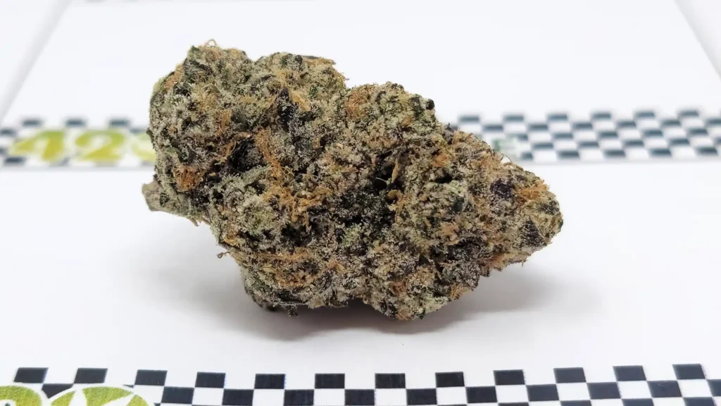 a fresh nug of Pink Runtz used for testing the grind consistency of the Brilliant Cut Grinder