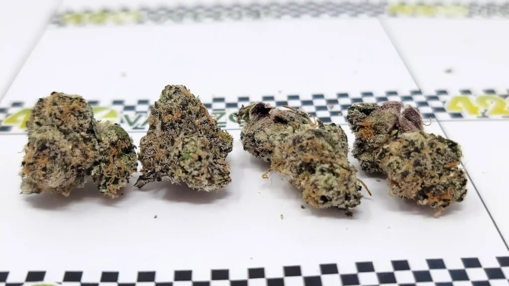 the nug was broken up into equal sized chunks for grinder testing