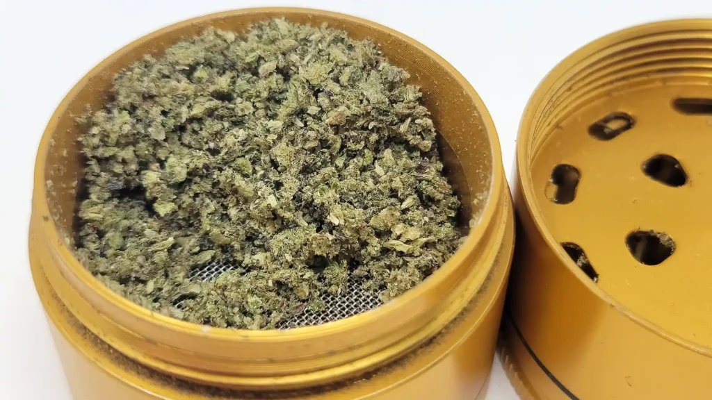 Santa Cruz Shredder's ground herb storage area is large and its grind is fluffy