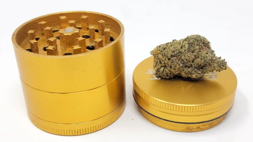 Medium sized Santa Cruz Shredder with its teeth exposed and a nug sitting on top of its lid
