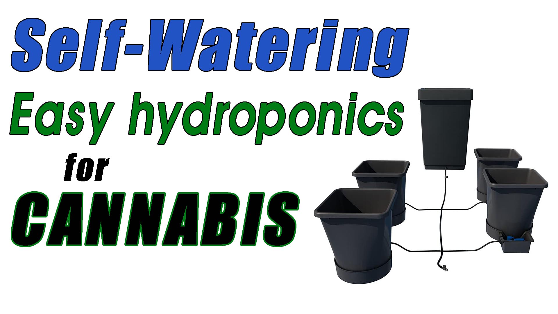 Autopot Self Watering Planters and My First Cannabis Grow