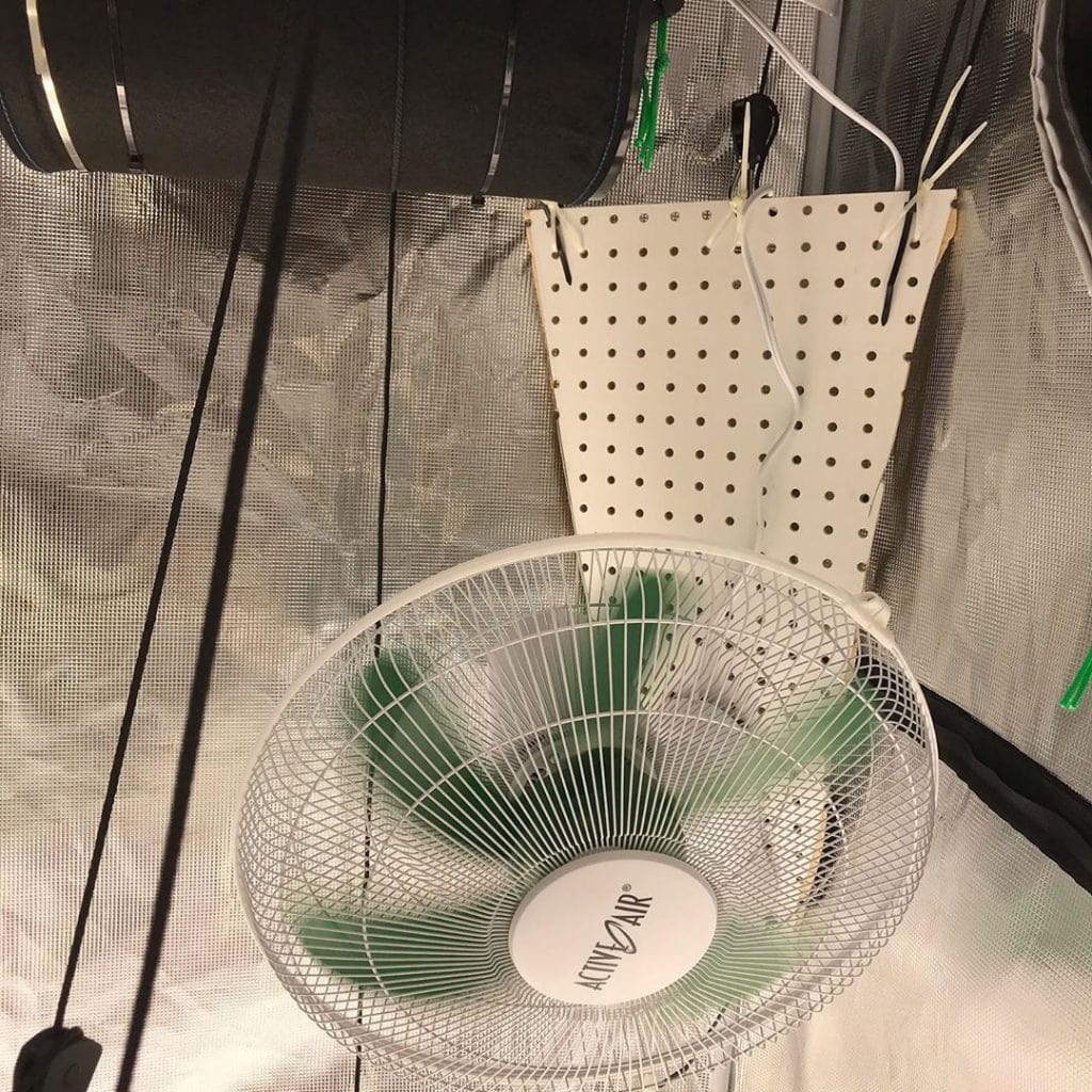Upgrading My Marijuana Grow Tents with Wall Mount Fans