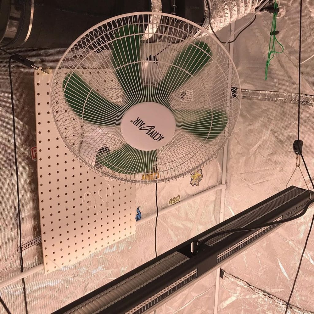 Upgrading My Marijuana Grow Tents with Wall Mount Fans