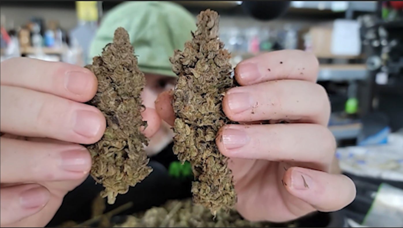 Trim Bag Review & Demonstration