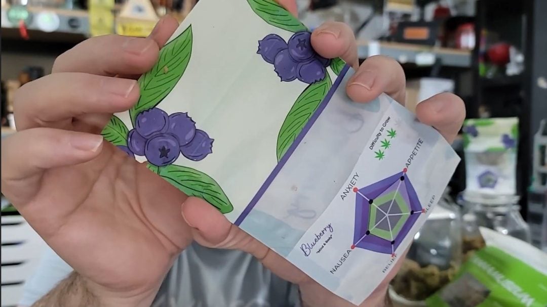 Grove Bags Curing Cannabis without Jars or Burping