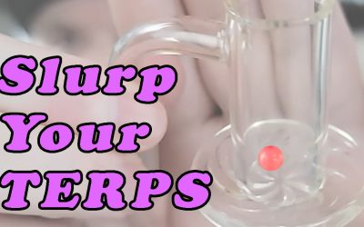How to use Terp Slurper with the DAB RITE