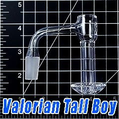 Valorian Tall Boy Slurper