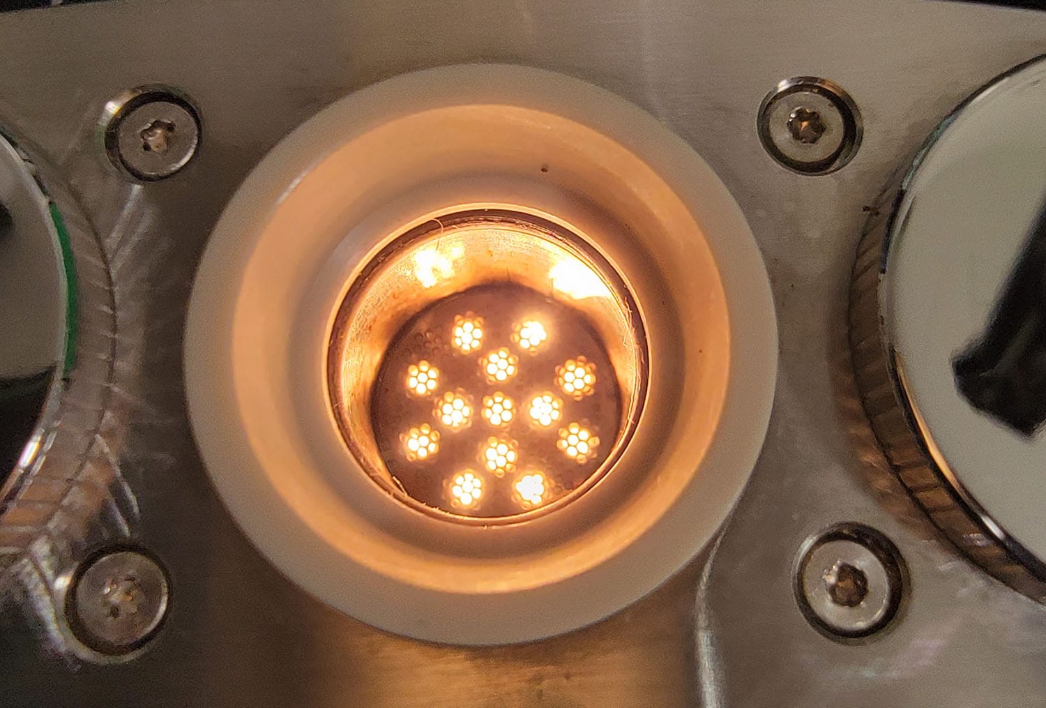 Angus Bowl - Lit up by its halogen bulb heater