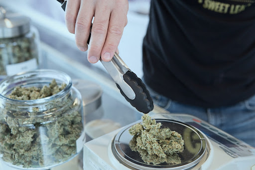 Cannabis Terpenes header image - budtender weighing marijuana nugs