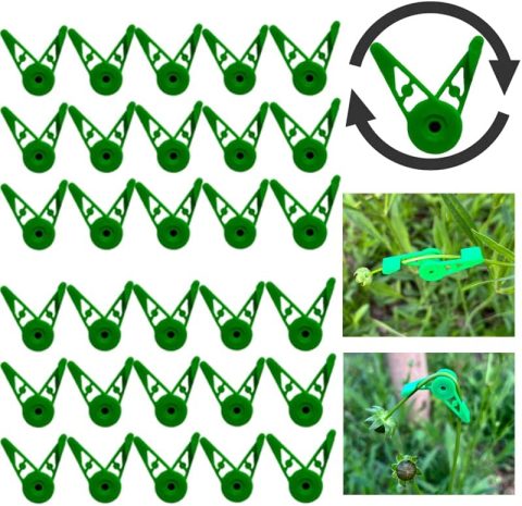 Clip Per Piante A 90° Per Low Stress Training – Confezione Da 100 Pezzi, 3,5x2,5 Cm, In Plastica, Per Rose, Orchidee E Pomodori