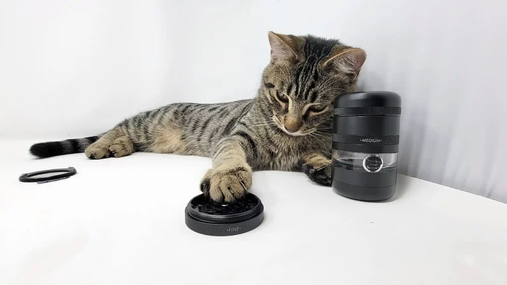 My Cat loves this grinder, he plays with the extra pieces.