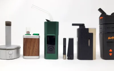 Best Dry Herb Vaporizers for Flavor
