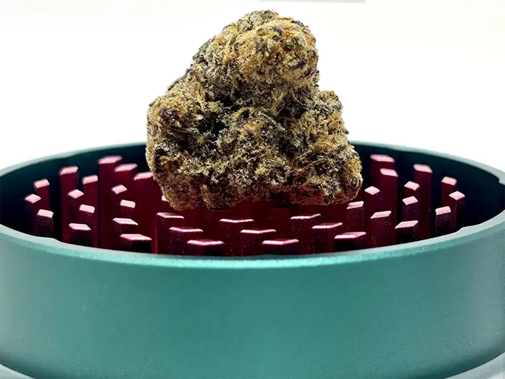 CAPU Grinder fine teeth with sample nug to grind