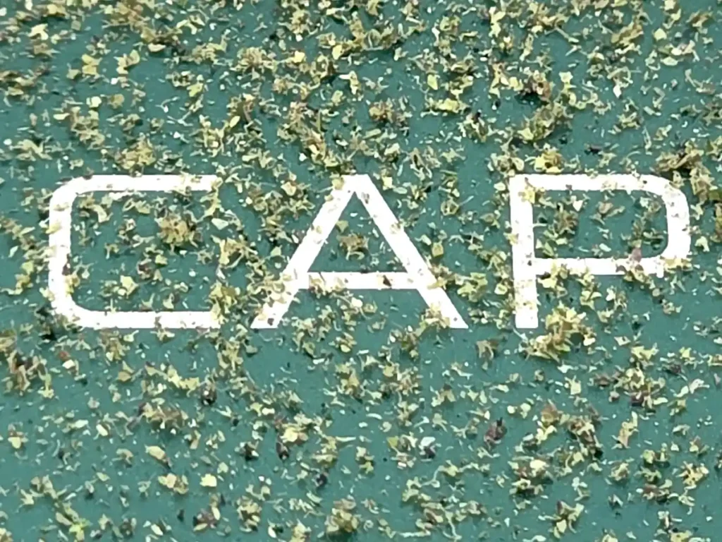 CAPU Grinder kief collection looks mostly like plant matter