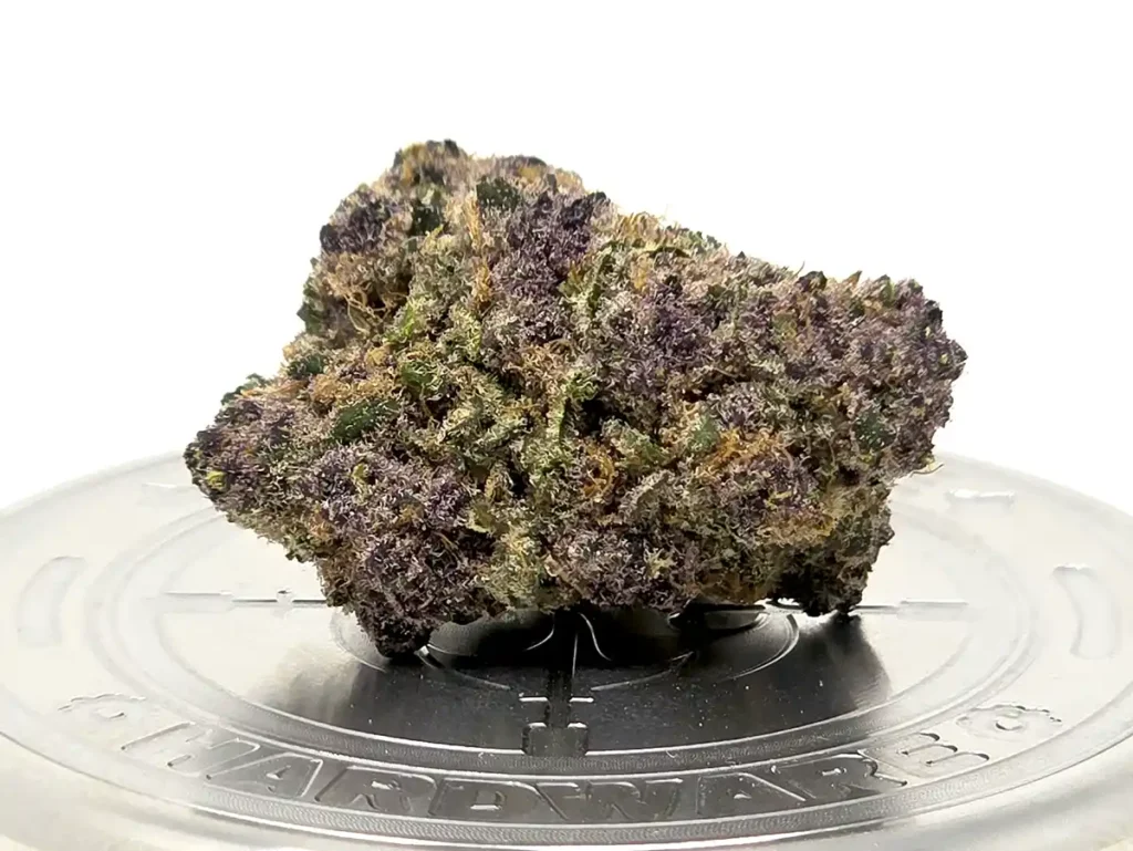 A Nug on top of the Cyber Grinder