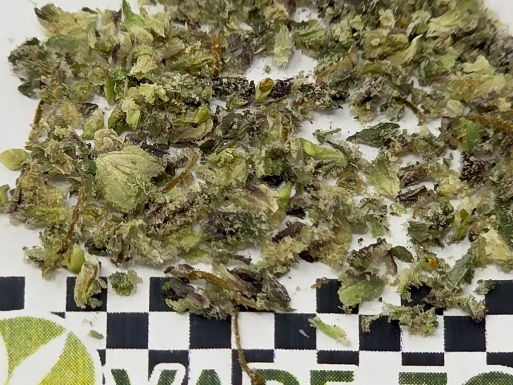 Draken 2 up close grind consistency