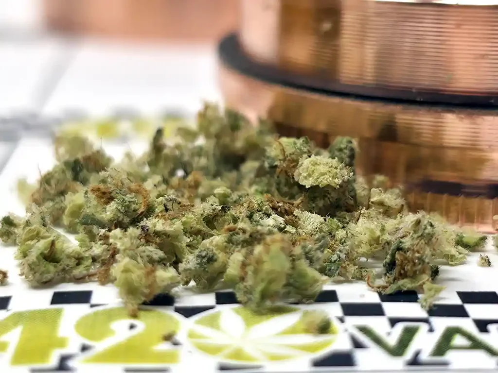 closeup of grind consistency of Santa Cruz RIPPER weed grinder