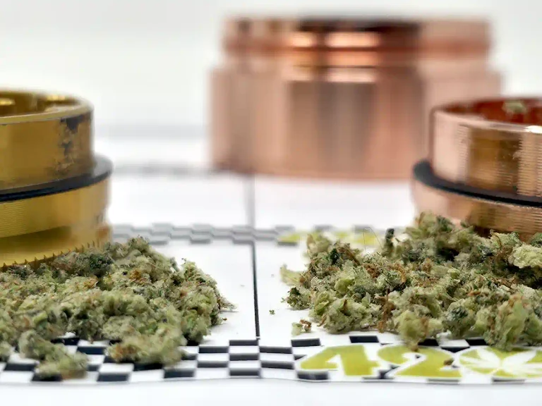 Santa Cruz RIPPER Grinder First Look: Cast Instead of Milled